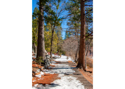 Snowy Path in Idyllwild, Ca